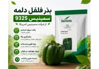 بذر فلفل دلمه ۹۳۲۵ سمینیس هیبرید با عملکرد مناسب در شیراز خلاصه آگهی