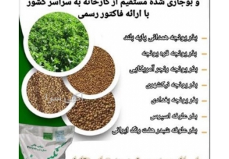 فروش انواع بذر یونجه و شبدر با بهترین کیفیت اگر به دنبال بذر یونجه