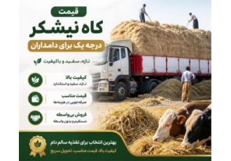 فروش کاه نیشکر درجه یک با قیمت مناسب در تهران خلاصه آگهی کاه نیشکر تازه