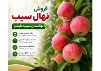 فروش نهال سیب دلیشز از نهالستان سیب در اصفهان حوزه فعالیت نوع محصول