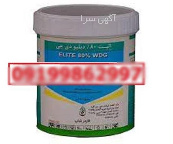 انتخاب رشته