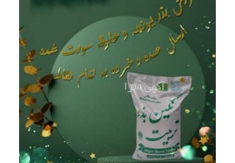 خرید بذر یونجه با کیفیت عالی و قیمت رقابتی اگر به دنبال بذر یونجه