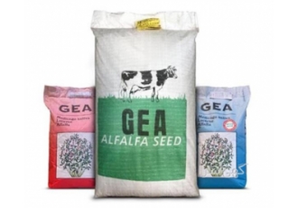 خرید بذر یونجه ایتالیایی GEa با قیمت مناسب و کیفیت عالی خرید بذر یونجه ایتالیایی GEa با قیمت مناسب و کیفیت عالی