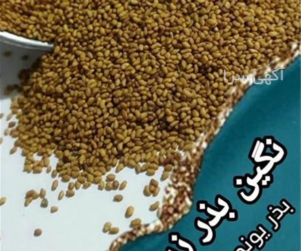 بذر ادنیوم