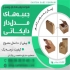 تولید و فروش جعبه و کارتن مقوایی در کرج کارتن سازی کارتن سبز تولیدکننده