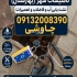 دستگاه لوله بازکنی و تخلیه چاه فنر زنی تعمیرات نشت یابی نصب پمپ و تانک