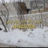 فروش سنگ‌های لاشه و مالون در دماوند در باغستان فروش انواع سنگ لاشه