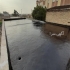 اجرای آسفالت تضمینی اجرای قیرگونی تضمینی اجرای ایزوگام تضمینی اجرای