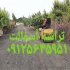 خدمات آسفالت کاری و پخش تراشه آسفالت شرکت ما با افتخار خدمات حرفهای