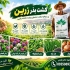 فروش بذر یونجه پایه بلند و انواع بذر با کیفیت در اصفهان فروش بذرهای